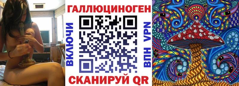 где купить наркоту ссылка на мегу ссылка Галлюциногенные грибы GOLDEN TEACHER Асино