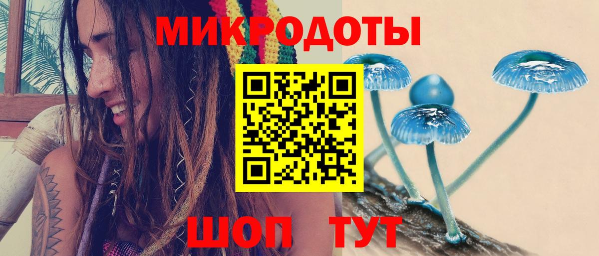 Псилоцибиновые грибы прущие грибы  Вход с VPN  Асино 